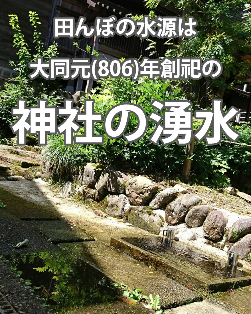 �ڥ����ѡ�SALE 15%OFF�ۡڿ��� ���� ���»� �����ҥ��� ʬ�Ť� 20kg�� ����7ǯ �� ������ˡ �����Ҥ��� ̵������ ���� ������ ���㸩 �� ����̵�� æ���ե�å���ѥå����� (@5kg��4��)