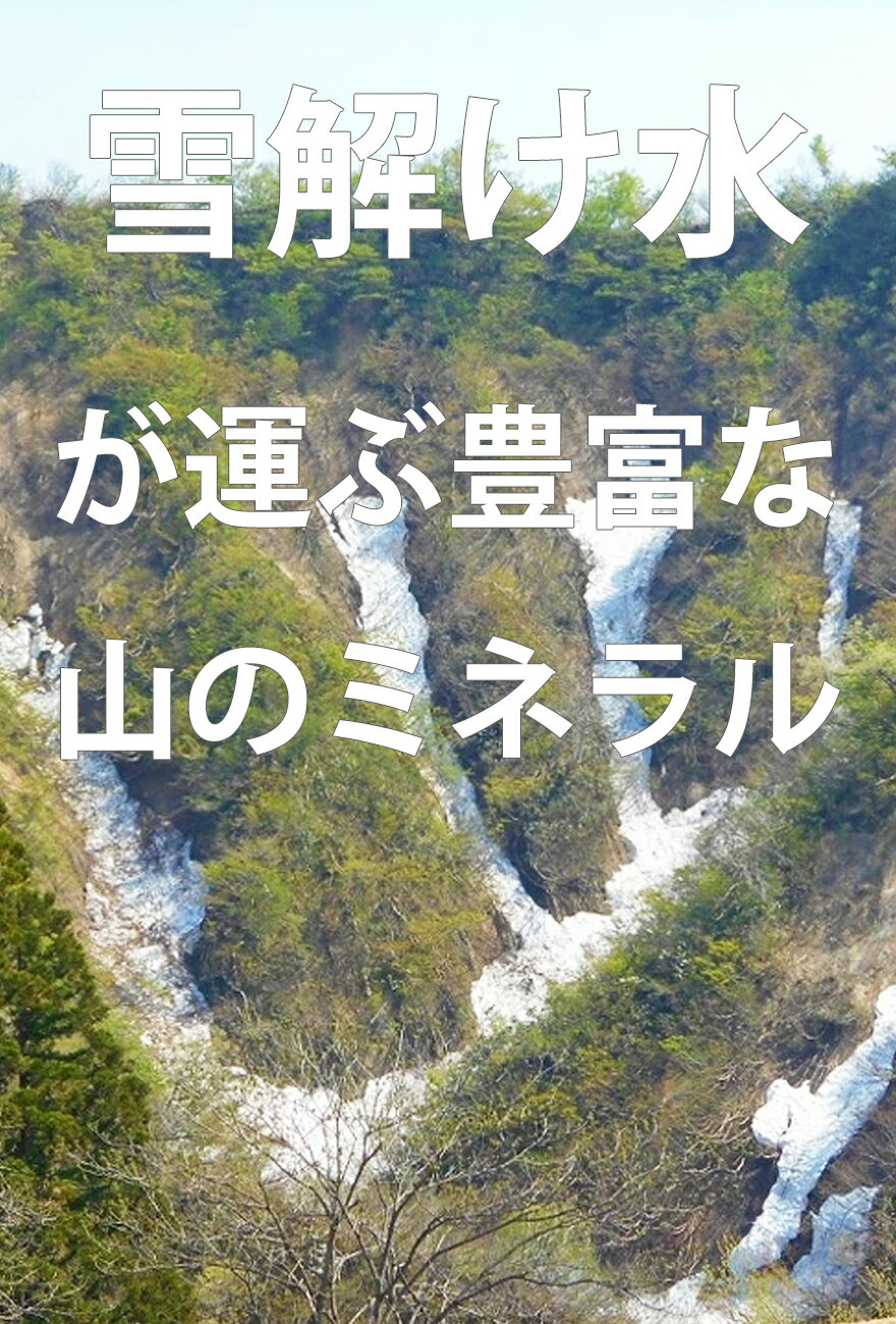 【新米 石田 魚沼産 コシヒカリ 玄米 20k...の紹介画像2