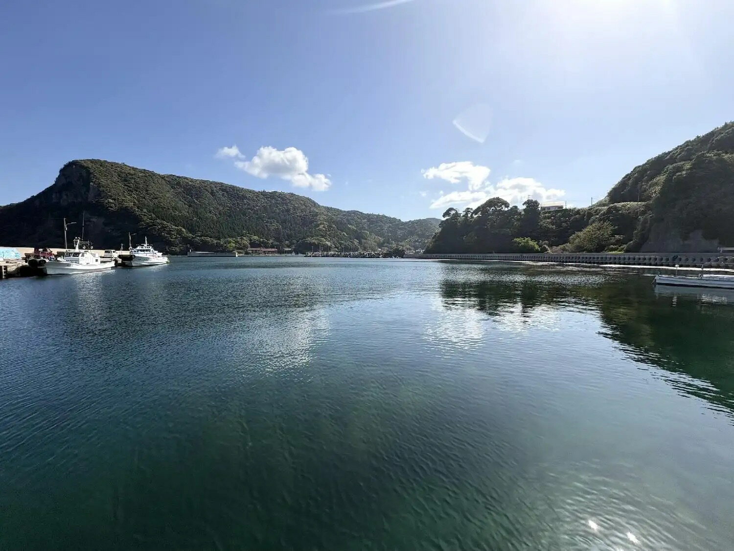 日本最後の秘境「隠岐諸島」産地指定梅 青梅 2kg 自然栽培 無農薬 無肥料 無除草剤...