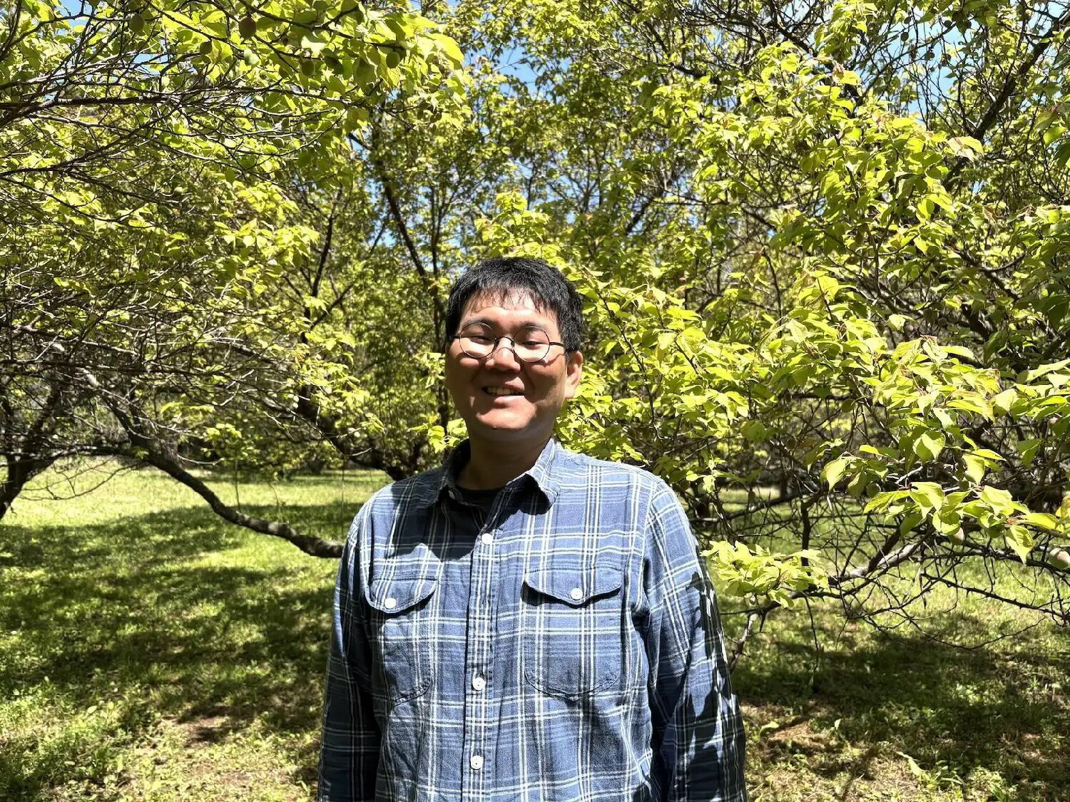 日本最後の秘境「隠岐諸島」産地指定梅 青梅 2kg 自然栽培 無農薬 無肥料 無除草剤...