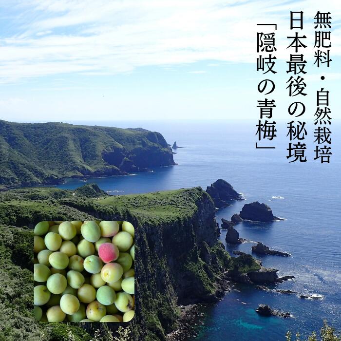 日本最後の秘境「隠岐諸島」産地指定梅 青梅 2kg 自然栽培 無農薬 無肥料 無除草剤...