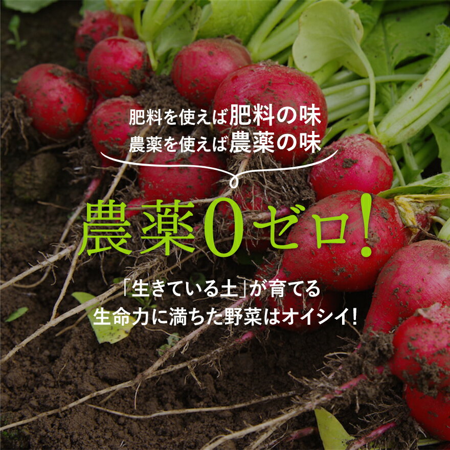 【10周年記念1000円割引中】全品無農薬 自然栽培 メインの 野菜セット Lサイズ 「 旬の野菜セット 」 毎週（火木金）出荷 無農薬 野菜セット 無肥料 オーガニック おまかせ　野菜セット野菜　お取り寄せ 送料無料　自然農法 旬　野菜BOX　新鮮 食材 化学肥料 農薬不使用 2