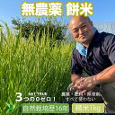 無農薬 もち米 自然栽培 無農薬 もち米 令和 5年産「 もち米 」 岩手県産 みやこがね 1kg 【 精米 】 阿部自然農園 無肥料 無除草剤 自然栽培 餅米