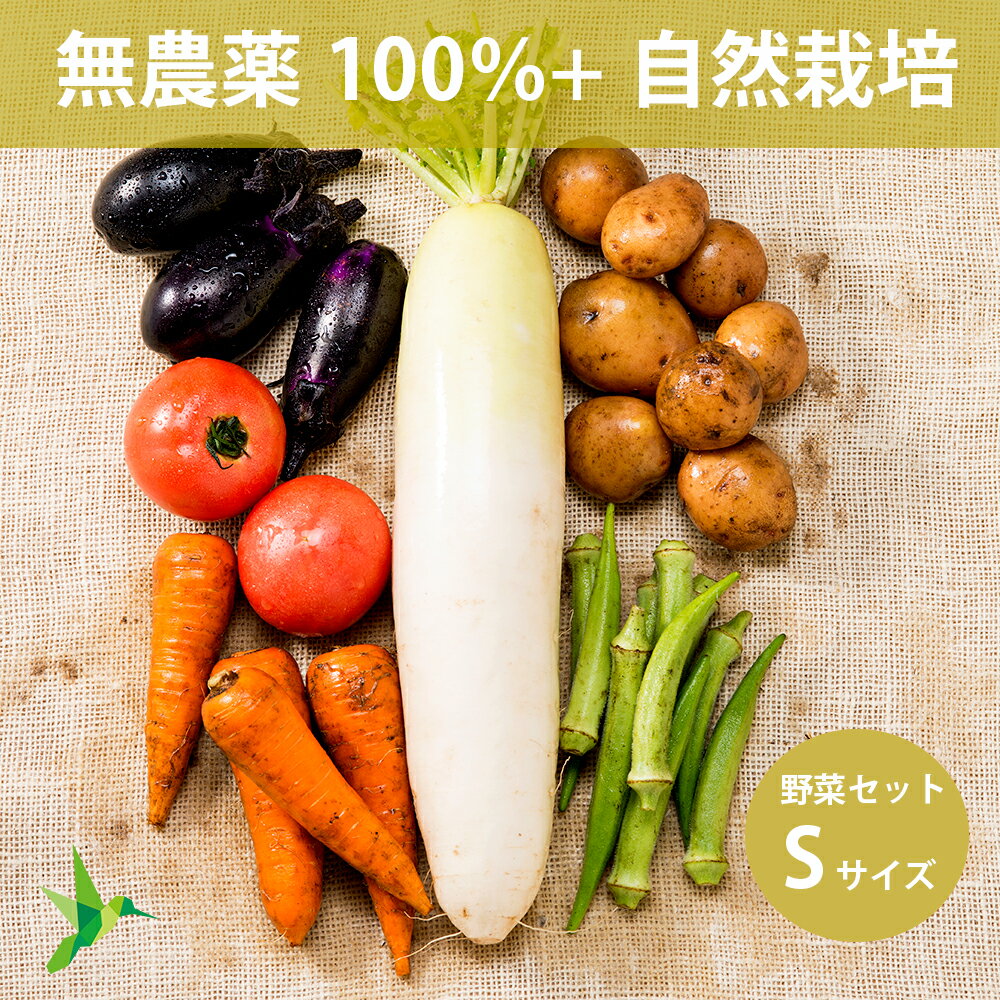 全品無農薬だけの野菜セット Sサイズ 「 旬の野菜セット 」 自然栽培メイン 毎週（火木金）出荷