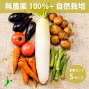 全品無農薬だけの野菜セット Sサイズ 「 旬の野菜セット 」 自然栽培メイン 毎週（火木金）出荷
