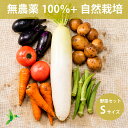 全品無農薬だけの野菜セット Sサイズ 「 旬の野菜セット 」 自然栽培メイン 毎週(火木金)出荷