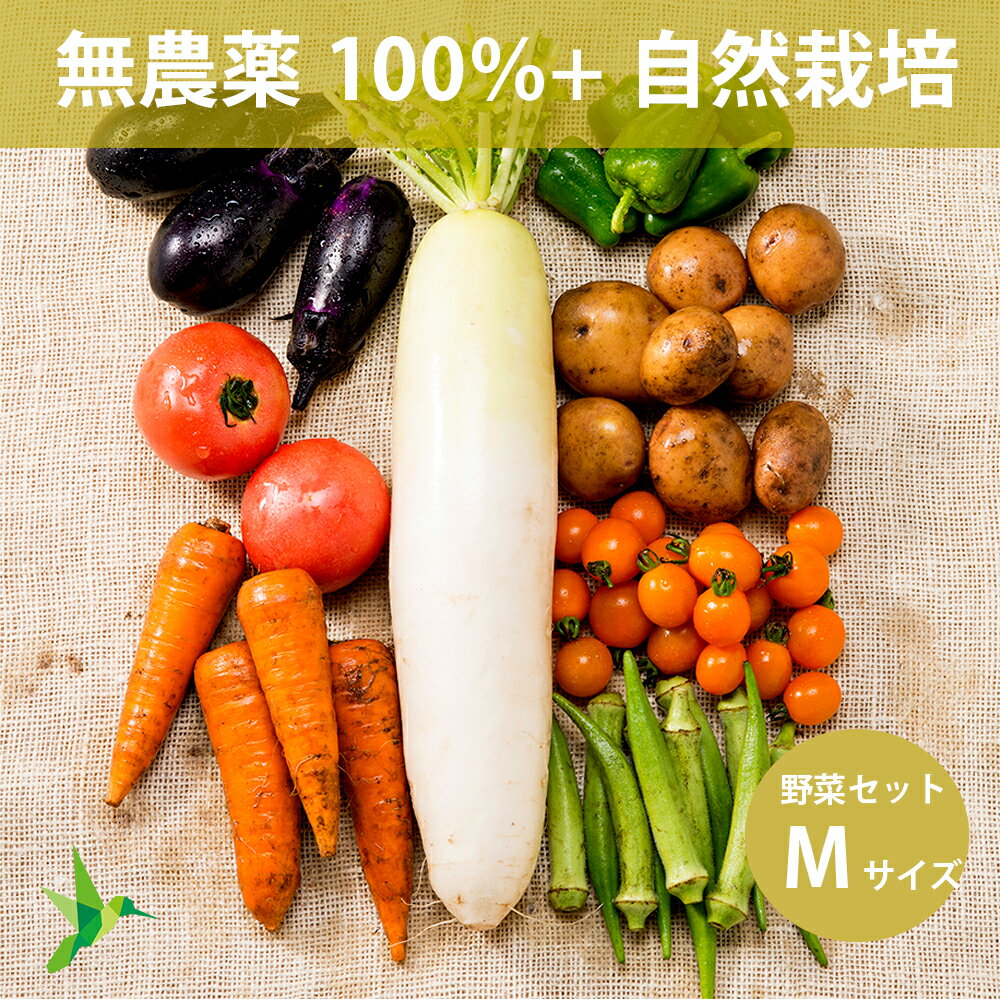 全品無農薬だけ自然栽培メインの野菜セット Mサイズ 「 旬の野菜セット 」 毎週（火木金）出荷 野菜セ..