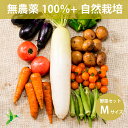 全品無農薬だけ自然栽培メインの野菜セット Mサイズ 「 旬の野菜セット 」 毎週（火木金）出荷 野菜セット 無肥料 オーガニック おまかせ　野菜セット野菜 送料無料　自然農法 旬　野菜BOX　新鮮 産直 食材 人気のセット 化学肥料 農薬不使用