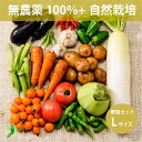 全品無農薬だけ自然栽培メインの野菜セット Lサイズ 「 旬の野菜セット 」 毎週（火木金）出荷 9800以上 送料無料 毎週（火木金）出荷 無農薬 野菜セット 無肥料 野菜セット野菜 自然農法 旬 野菜BOX 新鮮 食材 人気のセット 化学肥料 農薬不使用