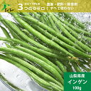 無農薬 無肥料 無除草剤 自然栽培「 インゲン 」【 100g】 〜山梨県産 ※クール便