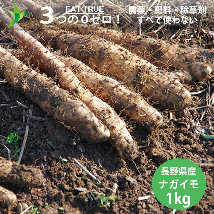 無農薬 長芋 長野県産 自然栽培「 良品ナガイモ【 約1kg 】 」 農薬0ゼロ 肥料0ゼロ 長芋 とろろ 初回ご利用レビュー特典付 夏季クール便配送 お正月