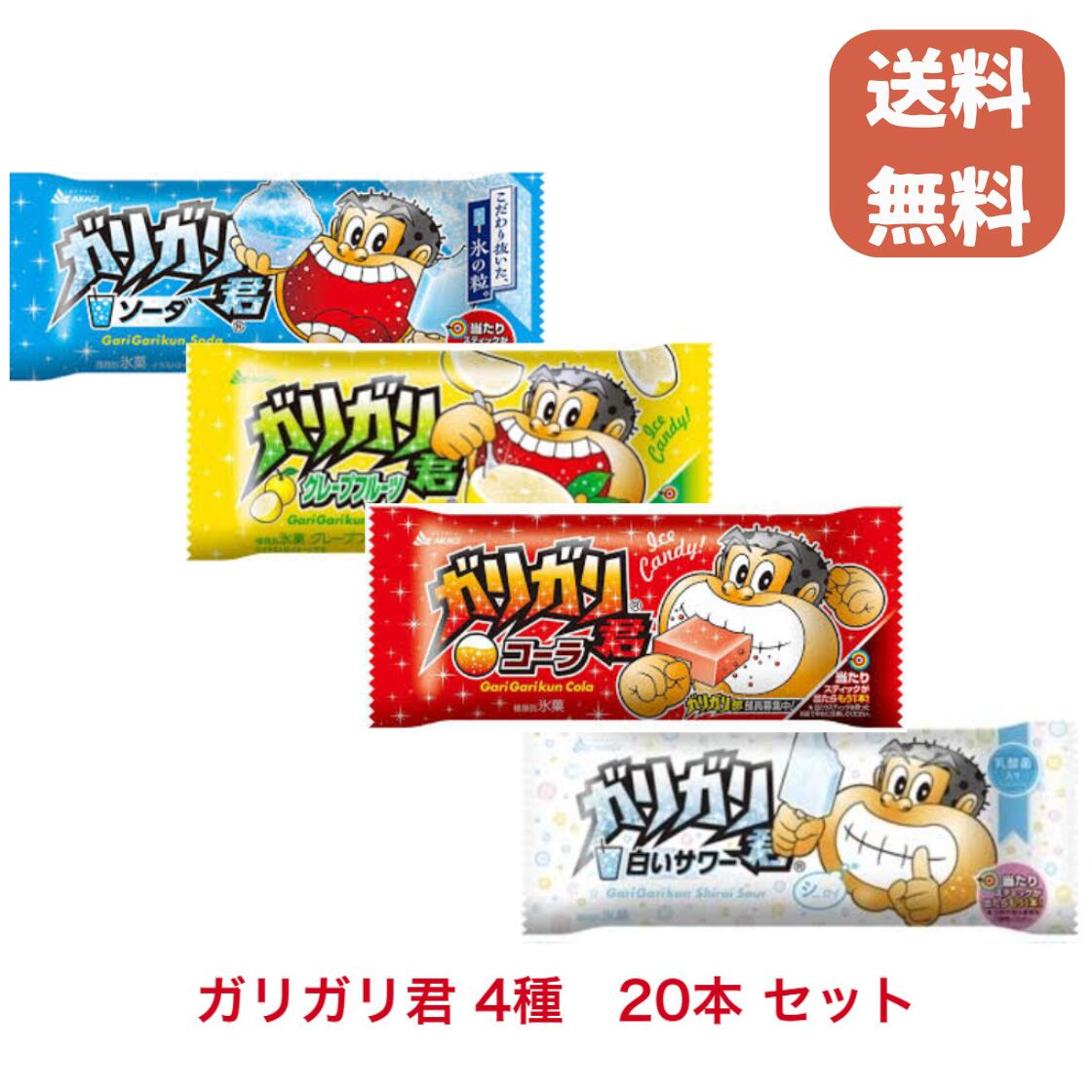 アイス ギフト バレンタイン ホワイトデー 赤城 ガリガリ君