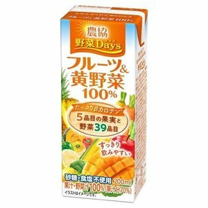 雪印メグミルク 農協 野菜DAYS フルーツ＆黄野菜 100％ 200ml×18本 　差し入れ 野菜不足 ダイエット 野菜嫌いのお子様にも