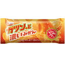 アイス 赤城 ガツン、と濃いみかん 90ml×24本 氷菓 アイス 新商品 期間限定 差し入れ 子供 デザート