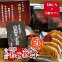 父の日ギフト 香湯ラーメン 香湯餃子 50g×5個入 5袋セット 化粧箱付 プレゼント ぎょうざ 中華 冷凍食品 おかず おつまみ 時短 ジューシー 林SPFポ...