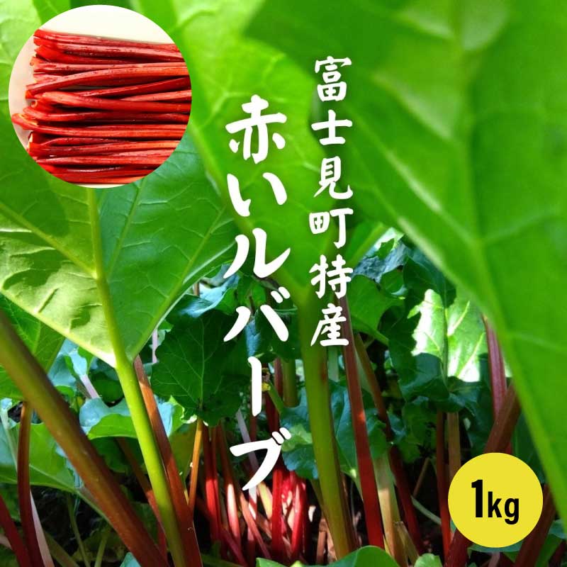 【予約販売】赤い ルバーブ 生ルバーヴ 1kg 農薬不使用 冷蔵 長野県 八ヶ岳 富士見町産 ルバーブ【送料無料】