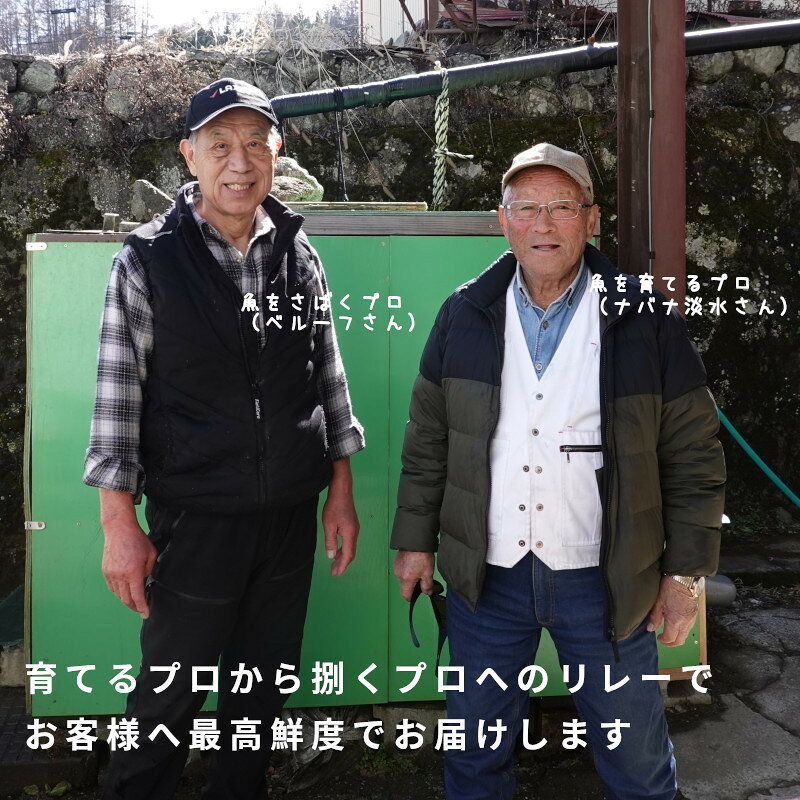 極上素材！冷蔵便は発送前に活け締め！ 八ヶ岳信州サーモン 刺身用 150g 骨・皮処理済み 冷蔵・冷凍 送料無料 国産サーモン 長野県のお魚 養殖魚 刺身 上品 安心 【ご家族で！業務用にも！ 小分け ブロック】 おさしみ お取り寄せ お中元 誕生日 お祝い ギフト 8katte-10000153 8katte 楽天市場店 サンプル画像2