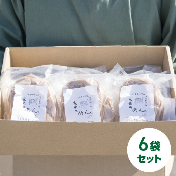 【送料無料】 玄米のめん 麺 100g 6袋 グルテンフリー 無添加 玄米 無農薬 ハマタハタ 玄米麺 セット 長野県 茅野市 スローフード 茹で時間1分 防災食 八ヶ岳 熨斗 返礼 ギフト お祝い 母の日ギフト