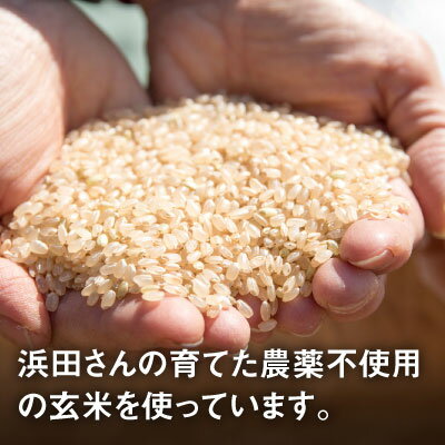 【送料無料】玄米のめん 麺 100g 6袋 無農薬 トマトピューレ 低温圧搾 えごま油セット グルテンフリー 玄米 無添加 無農薬 ハマタハタ 玄米麺 セット 長野県 茅野市 スローフード 茹で時間1分 防災食 八ヶ岳 熨斗 返礼 ギフト お祝い 3