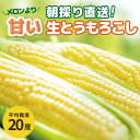 とうもろこし 甘い 生で食べられる 糖度20度 長野県 八ヶ岳 生とうもろこし 朝採れ 5本 8本 3.5kg入 1箱 【冷蔵】予約 鮮度が違う!スイートコーン 産地直送 旅サラダ【送料無料】【マツコの知らない世界で紹介されました】