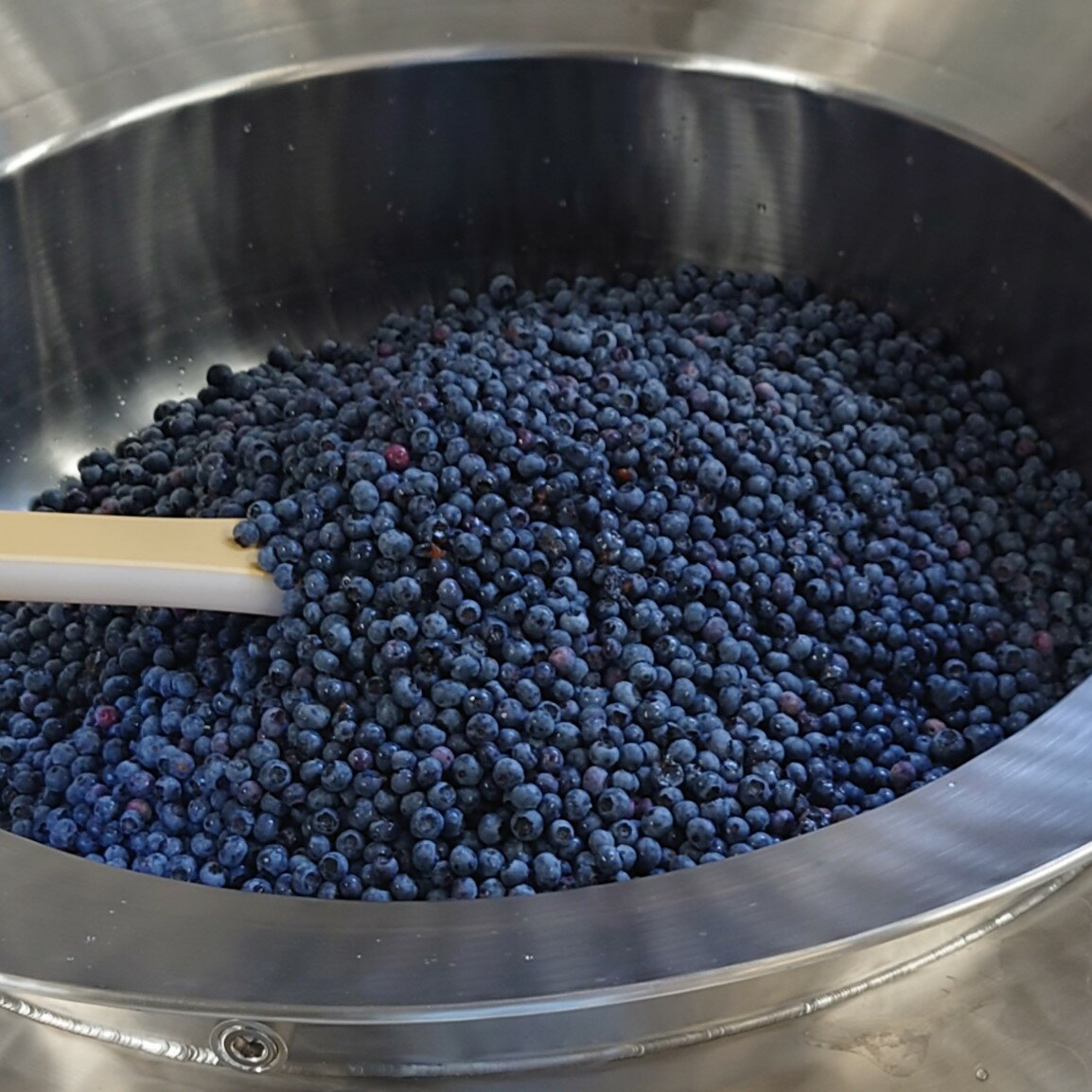 �����Ǻࡪ�����Ի��� Ĺ��ٻθ�Į�� ������ۥ֥롼�٥꡼ 1kg ��500g��2�ޥ��åȡ�2025ǯ�� �� ����٥꡼ �ե롼�� ������ ��̳�� Ĵ���ѡ�����̵����