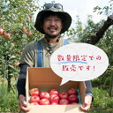 2025長野県産 信州 諏訪湖りんご シナノドルチェ 3kg 5kg箱 化学肥料不使用 長野県減農薬認証取得【酸っぱめのパリっとしたりんご!】 笠原果樹園 市場に出回らない 【送料無料】りんご リンゴ 林檎 アップル サンふじ 産直 秋グルメ 秋スイーツ 果実 くだもの 取り寄せ 旬