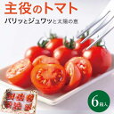 【甘味と旨味のバランスが最高】ミニトマト プチトマト 極上素材!【送料無料】1年中美味しい 高級 箱買い 1.2kg(6パック)【美味しいトマトが食べたい】 皮...