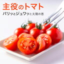【甘味と旨味のバランスが最高】ミニトマト プチトマト 極上素材!【送料無料】1年中美味しい 高級 箱買い 1.2kg(6パック)【美味しいトマトが食べたい】 皮が薄く甘い 原村 きよみず農園 八ヶ岳 熨斗 返礼 ギフト お祝い 春グルメ ギフト 小番茄 取り寄せ 平均糖度7度