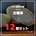 【冷凍】無添加 八ヶ岳おやき 全種類 12個セット 焼き蒸かし 【もちもち生地のおやき こだわり具材】オヤキ ふるさと 信州 おちゃうけ お茶請け 畑仕事 おやき ギフト 通販 長野 人気店 お焼き…