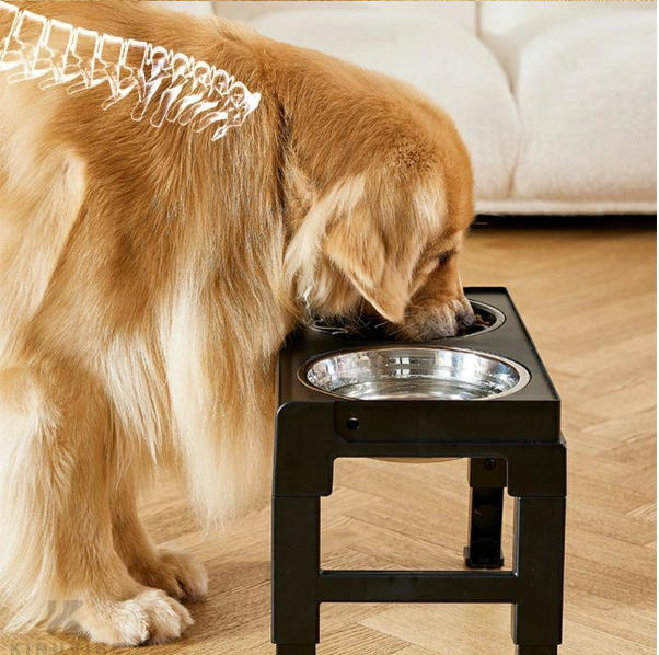 フードボ フードスタンド 大型犬 中型犬 犬 ペット 早食い防止 選べる2色 折り畳み...
