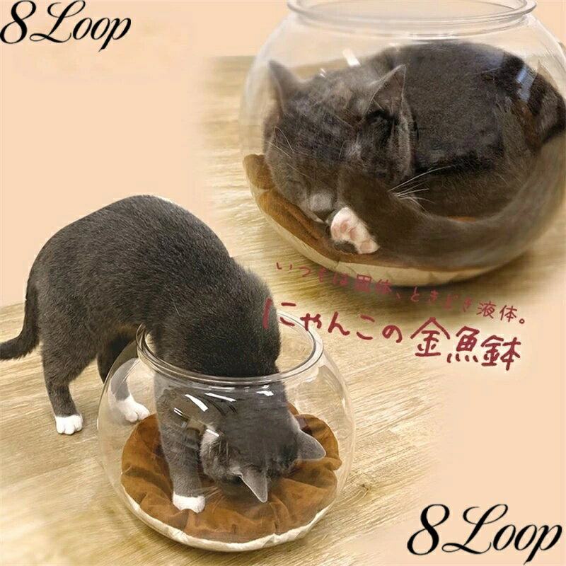 乐天商城 - にゃんこの金魚鉢 猫 猫 金魚鉢子猫用金魚鉢 透明アクリル製猫保護カバー 水槽が見えるので猫を観察できます 傷防止 衝突防止 猫に安全で快適な巣を提供します