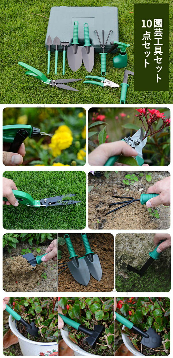 �����ǥ�ġ��륻�å� 10�����å� �����ǥ˥󥰥ġ��� ��ݹ��񥻥å� ¿����ʪ ������ ������� ��ƻ�� �ܿ� �󤻿��� ��ȴ�� �����ǥ��� ¿���� �ѵ��� �Ȥ��䤹�� �������� ��Ǽ�������դ� ̸�᤭���ץ졼�ܥȥ� �ܿ������å� ����