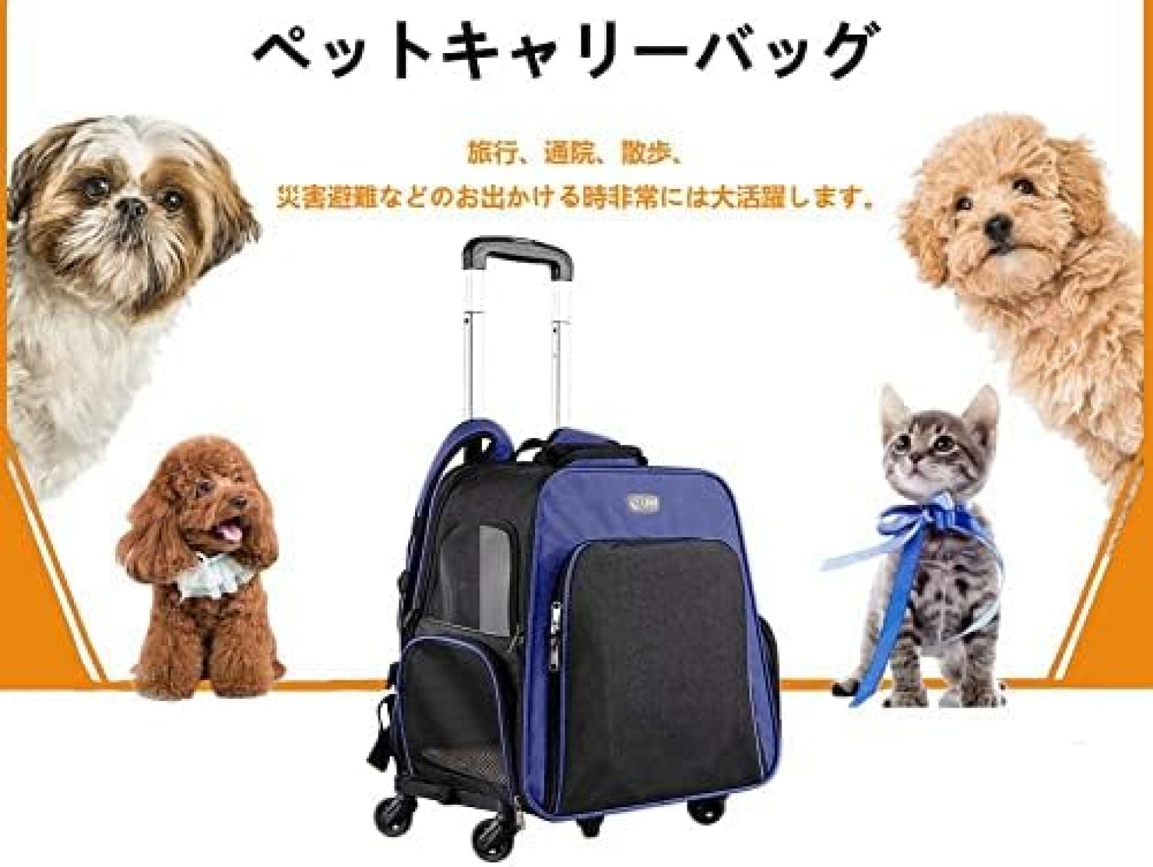 �����դ���ĥ��ǽ�ʥڥåȥХå��ѥå�����ꥢ���ڥåȸ�ǭ�Ҹ�����󥰥���ꥢ�ȥ�٥륷�������Хå���͢���ȥ�٥�ܥå����ڥåȥ���ꥢ�ݡ����֥��ޤꤿ���߼��ڥå�ǭ���٥ӡ�����10KG (�������֥롼)