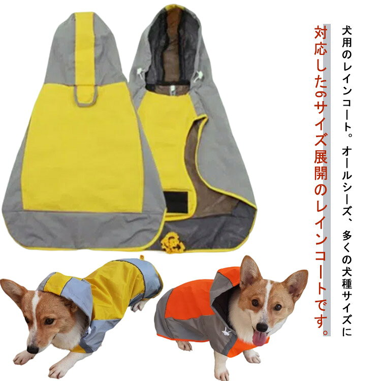 �� �쥤�󥳡��� ������ �淿�� �緿�� ���ѥ쥤�󥳡��� ������ �ɥå������� ���� ���Υ��å� ���籩 ���� ���� ���籩 �ɿ� �߱� �� �쥤��ݥ���� ...