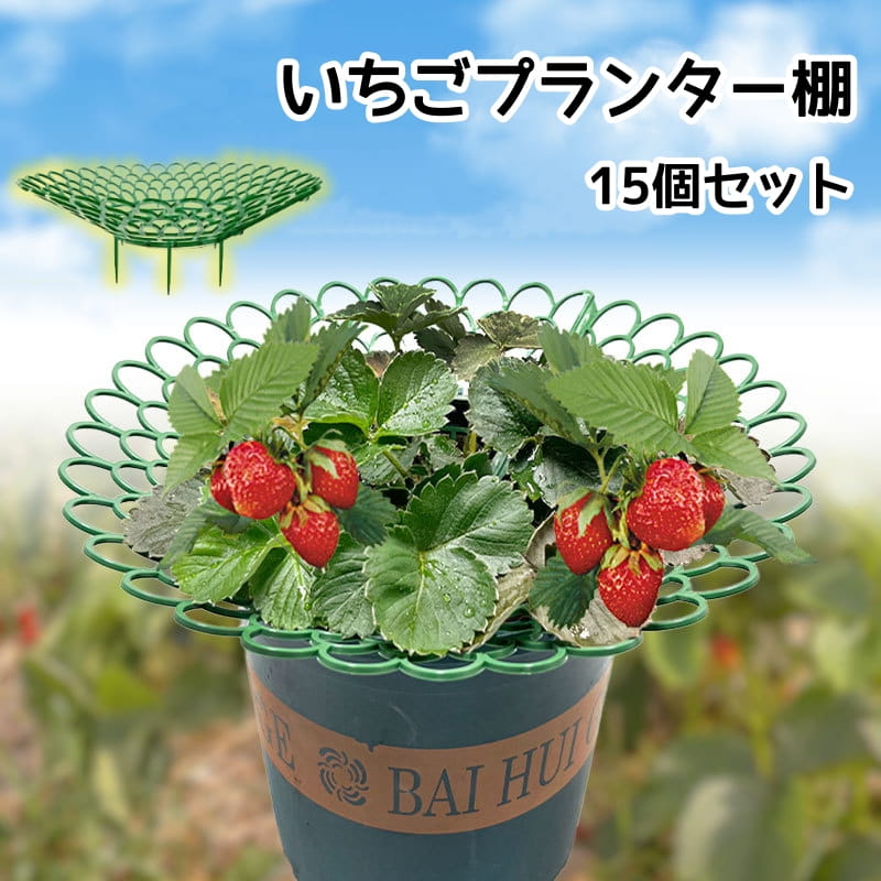 Rakuten - イチゴ棚 いちごプランター棚 15個セット 植物支え プラスチック製 簡単に組立 苺苗棚 栽培棚 支え棚 園芸支柱 イチゴ トマト ナス イチゴ支え いちごプランター棚 15個セット ネット状 ベランダ バルコニー