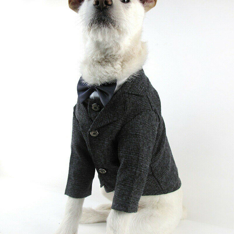 Rakuten - ペット スーツセット ドッグ 犬 服 タキシード ベスト コート2点セット ブラック カーキ 結婚式 フォーマル リングドッグ 記念日 お祝い 男の子 プレゼント