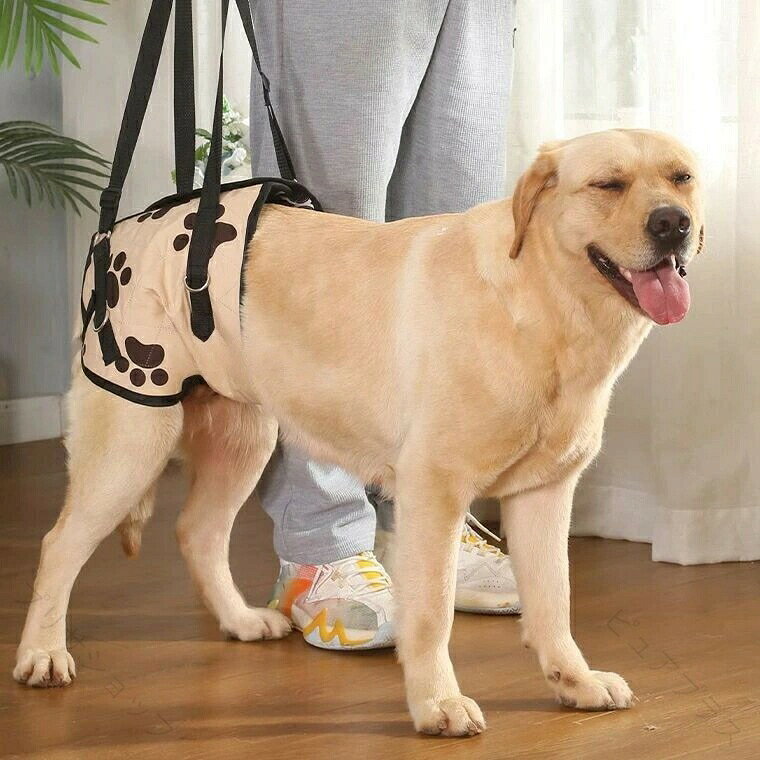 超大型犬サイズあり 選べる前用後ろ用 通年使える 全体支える 歩行補助ベルト お腹 腹部 犬 後ろ足 ハーネス 介護用品 服 ウェア 散歩 老犬介護用品 高齢犬 シニア 脚 腰 リハビリ 歩行 サポート ベルト持ち上げ 登山 大きいサイズ 送料無料商品説明お散歩だいすきなワンちゃんといつでも一緒に。季節問わずご使用いただける通年生地。安定感があり、オーナーさんの負担も少ない便利なアイテムです。主に前を支える「前胸用」、後ろを支える「後ろ用」からお選びいただけます。カラー：前胸用しろくろ前胸用ブラック前胸用パープル後ろ用しろくろコンピューターのモニター設定により、色が若干異なる場合があります。サイズ【前胸用S】胸まわり50-58　首まわり41　参考体重7.5-12.5kgくらい【前胸用M】胸まわり58-66　首まわり46　参考体重12.5-20kgくらい【前胸用L】胸まわり66-76　首まわり53　参考体重20-30kgくらい【前胸用XL】胸まわり76-86　首まわり61　参考体重30-40kgくらい【後ろ用S】お腹まわり45-50　参考体重7.5-12.5kgくらい【後ろ用M】お腹まわり50-56　参考体重12.5-20kgくらい【後ろ用L】お腹まわり56-62　参考体重20-30kgくらい【後ろ用XL】お腹まわり63-72　参考体重30-40kgくらい測り方により多少の誤差が生じる場合がございます。素材：ポリエステル検索キーワードヘルニア 術後 老犬 シニア 高齢犬 介護 足が悪い 筋力低下 脚力低下 怪我 犬 ドッグ 愛犬 ペット 小型犬 中型犬 大型犬 チワワ トイプードル?プードル ミニチュアダックスフンド ペンブローク ポメラニアン シュナウザー 柴犬 ボーダーコリー 柴 パグ ピンシャー コーギー?パピヨン シーズー マルチーズ キャバリア ビーグル フレンチブルドッグ ヨークシャーテリア ゴールデンレトリバー 土佐犬 秋田犬 ダルメシアン アフガンハウンド セントバーナード チベタンマスティフ グレートピレニーズ 介護ハーネス 散歩 老犬 犬用車椅子 ペット用車椅子 補助車 犬用カート ドッグウォーカー　リハビリ用歩行補助具 シニアドッグ サイズ調整可能 お散歩 補助輪 犬用介護 犬用歩行器 後ろ足 犬用補助輪 犬の車椅子 散歩サポート 送料無料【原産国／製造国: 中国】 .歩行補助ベルトは老犬介護用品として高齢犬やシニア犬の歩行を支える必須アイテムです。超大型犬サイズもあり、選べる前用後ろ用でお腹や腹部、後ろ足、脚、腰を全体的にサポート。犬猫両用のハーネスや介護服、ウェアとしても使え、散歩やリハビリ、登山時の歩行補助に最適です。犬用補助具、老犬用ベルト、シニア犬用サポーター、猫歩行補助、犬介護ベルト、超大型犬介護用品、犬用ウェア、高齢犬ケア用品、歩行補助具、犬用リハビリサポート、脚腰補助、散歩補助具、登山用補助ベルト、犬ケア用品、介護服、シニア犬用服、猫用介護ベルトなど幅広く対応。おすすめの介護用品で人気の高い商品です。。 .歩行補助ベルト 老犬介護用品 高齢犬 シニア 超大型犬サイズあり 選べる前用後ろ用 通年使える 全体支える お腹 腹部 犬 猫 後ろ足 ハーネス 介護用品 服 ウェア 散歩 脚 腰 リハビリ 歩 動物用介護用品 ペットケア 老犬用歩行補助システム 犬用補助ベルト 猫用介護用品 老犬介護 老猫介護 補助具 ペット歩行補助 安全補助 介護用グッズ 人気 セール おすすめ。 指定された配送時間は承っておりません。【プリサショップ】