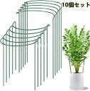 植物支柱 10本セット 半円型支柱 25cm×40cm 園芸用 観葉植物用 つる植物サポート 花支え 野菜支柱 ガーデニング 農業 園芸補助具