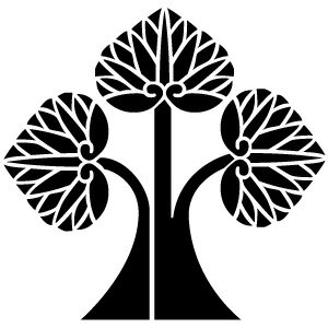 ���楹����� ���� ���� ���˲����� 20��20mm ����� Ƚ�� �Ϥ� ���ꥸ�ʥ���� ���� ���� ����� �����»��� ��ǰ�� ������