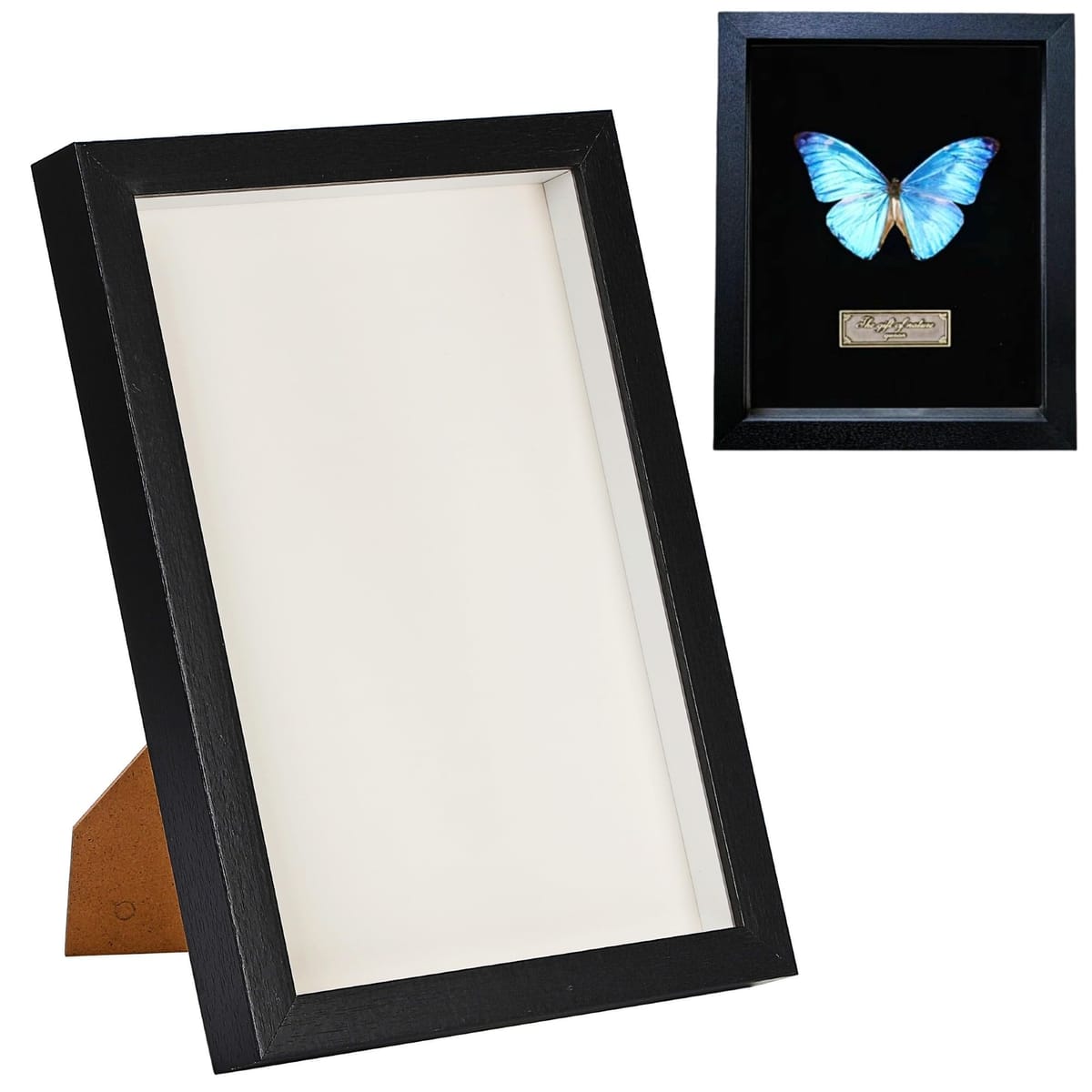 merrytime 標本箱 ガラス フレーム A4 昆虫 標本ケース シーラケース コレクション 展示用 押し花 ドライフラワー 額縁 木目調 ディスプレイ インテリア 観察ケース