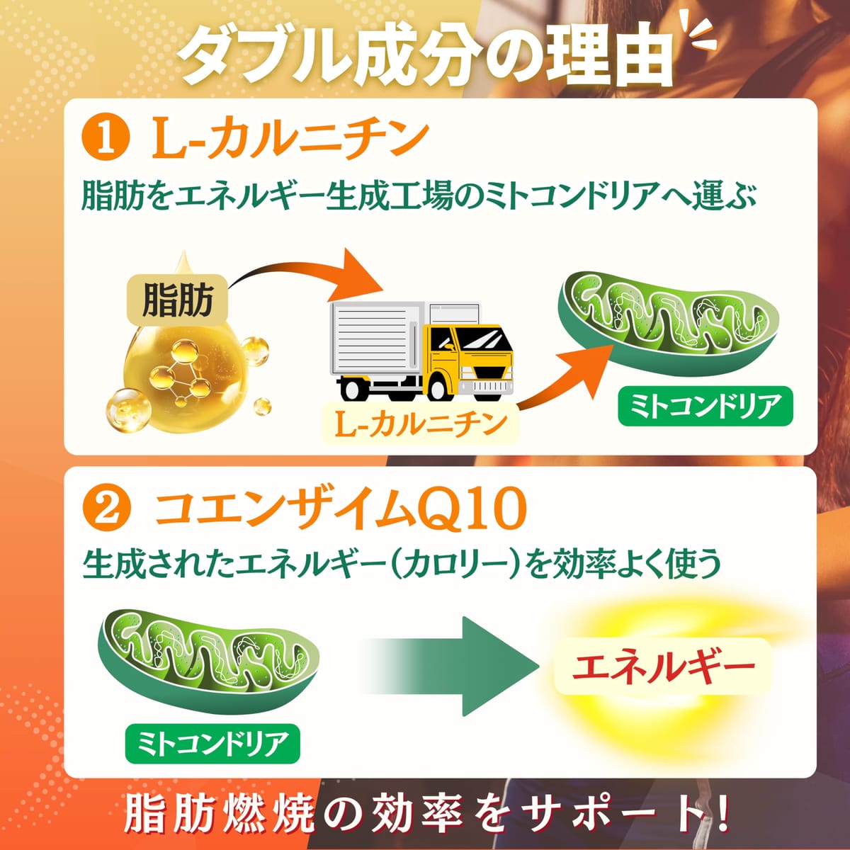 ダイエット サプリ CoQ10 L カルニチン ダイエットサプリメント 国内製造 60粒 30日分 SLIM BOOST スリムブースト サプリプラス