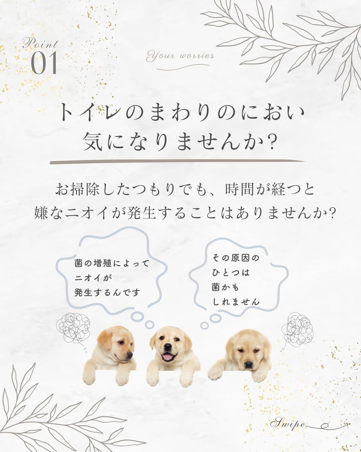 100％天然由来原料で出来た 強力 消臭 除菌スプレー おしっこ うんち マーキング臭対応 「なめても安心」香りでごまかさない還元・中和反応で無臭化 THE ANIMAL ORGANICS ペット用消臭除菌スプレー 無臭タイプ 300ml (無臭) 8tail0358-10012080 Web shop 8tail サンプル画像3