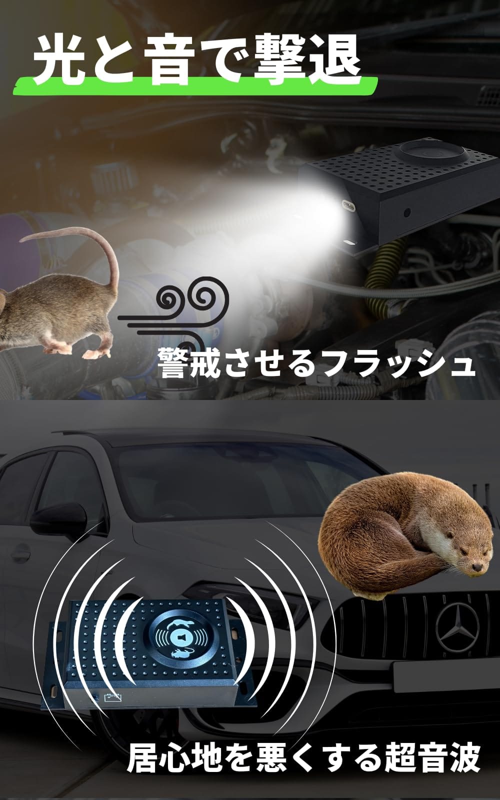thum3
