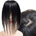 部分ウィッグ 前髪未カット センター分け 真ん中分け ヘアピース かつら 女性 レディース 人毛100% ストレート 分け目 シルク ウィッグ セミロング 医療用 つむじ 頭頂部 カツラ 分け目自由自在 ウイッグ うぃっぐ Luce brillare ル