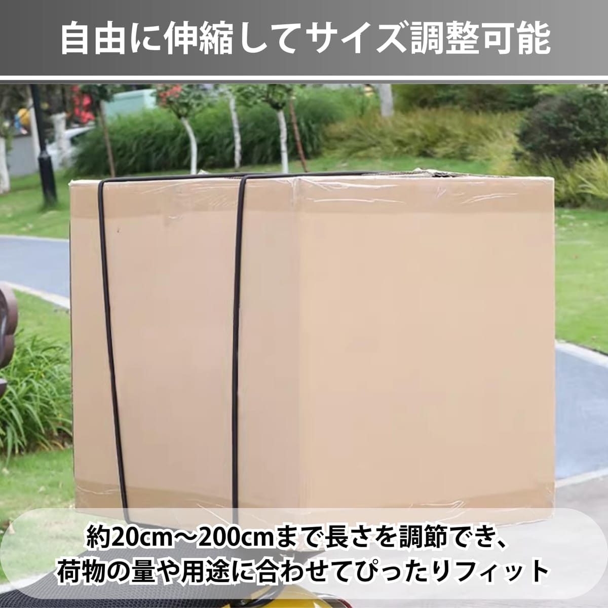 Aurenne ゴムバンド 荷物 固定 調節式 カラビナフック バンジーストラップ 荷締め ...