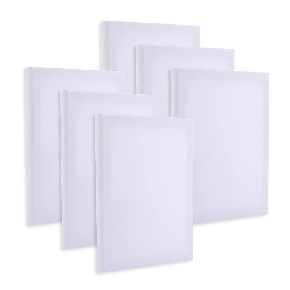 Chocople ミニキャンバス キャンバス 画材 絵画 水彩画 油絵 6個 セット