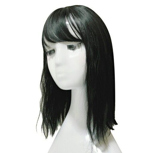 Luce brillare 部分ウィッグ かつら ヘアピース トップピース カツラ 女性 レディース つむじ 頭頂部 薄毛 脱毛 35cm うぃっぐ セミロング トップカバー 人工毛 耐熱ファイバー 国内メーカー ストレート 部分 断熱美人セミロング Luce brillare 部分ウィッグ かつら ヘアピース トップピース カツラ 女性 レディース つむじ 頭頂部 薄毛 脱毛 35cm うぃっぐ セミロング トップカバー 人工毛 耐熱ファイバー 国内メーカー ストレート 部分 断熱美人セミロング