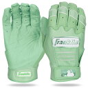 フランクリン Franklin CFX PRO HI-LITE BATTING GLOVES バッティンググラブ ハイライトカラー 両手用 一般 2025 羊革 天然皮革 野球 バッティング手袋 バッティンググローブ ベースボールマリオ 20883 20