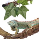Archnote 爬虫類 登り木 人工藤 人工植物 木 つる 植物 水槽 装飾 吸盤付き 飾り トカゲ ヘビ カメレオン 4本