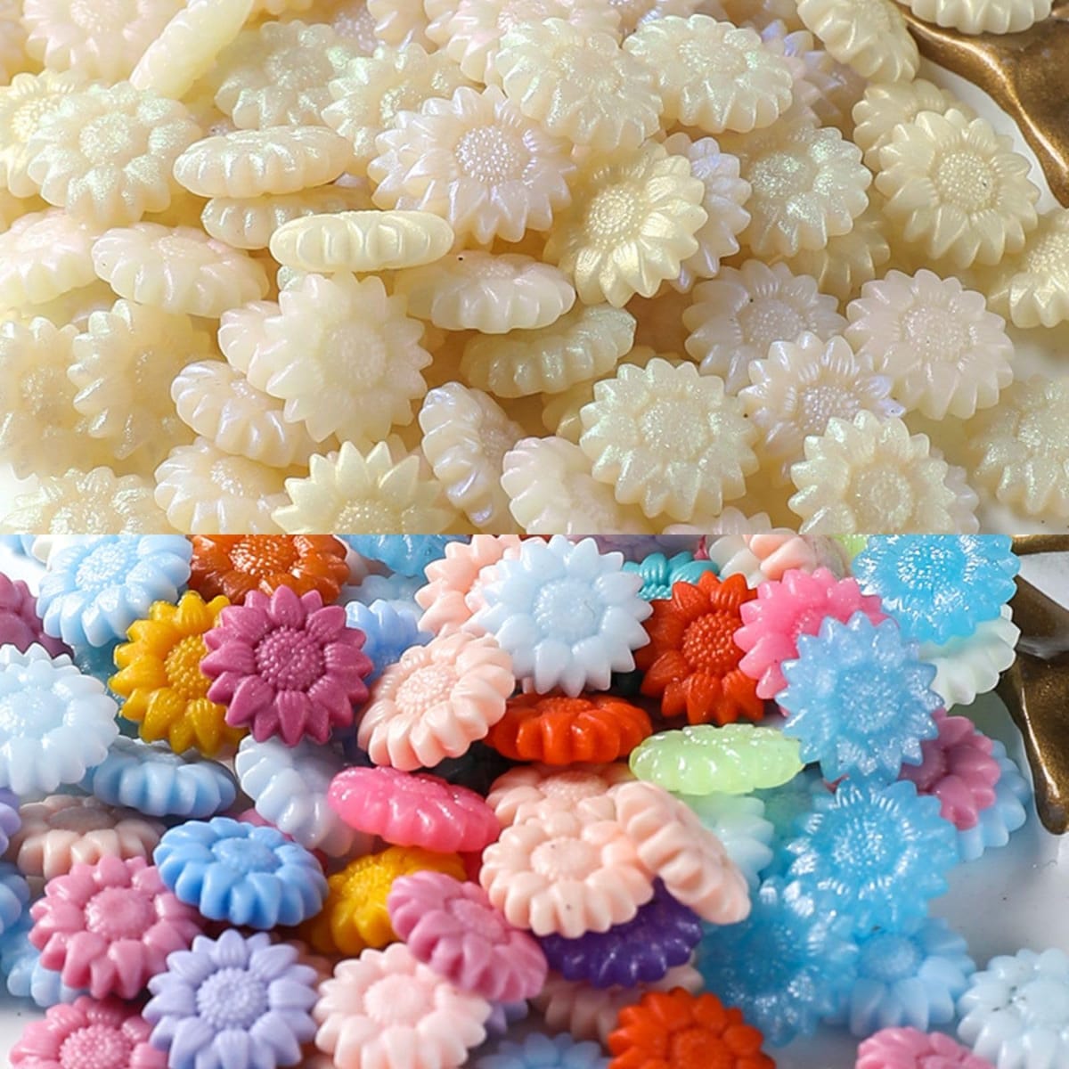 󥰥å 1000g Ҥޤ 5 ߥå  Ϲ  뺧 Ծ ե ϥɥᥤ